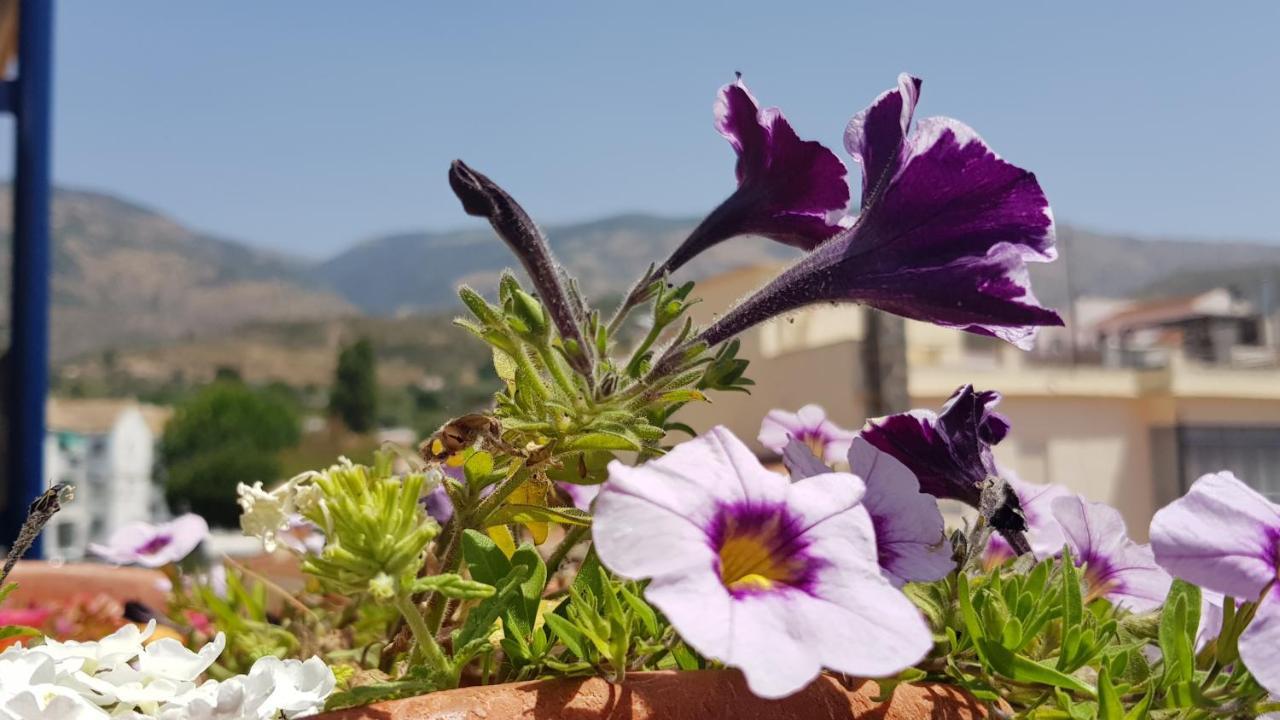Posada Alpujarra Sol ออร์กิวา ภายนอก รูปภาพ