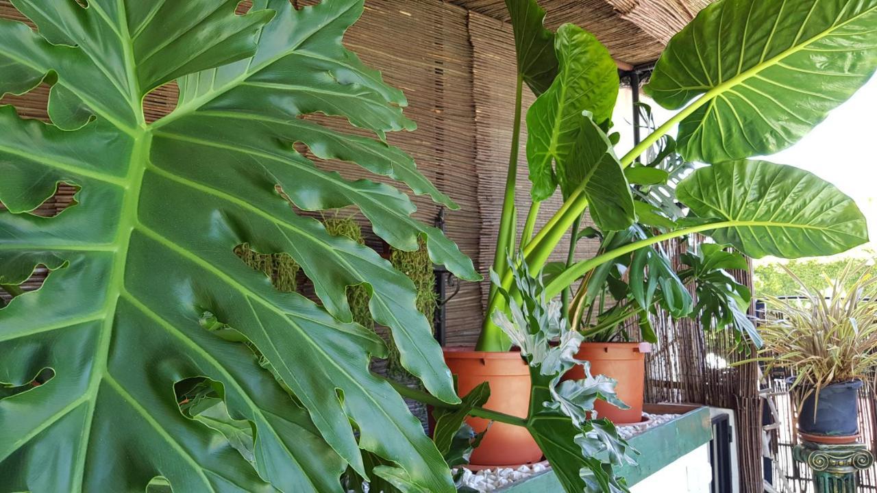 Posada Alpujarra Sol ออร์กิวา ภายนอก รูปภาพ